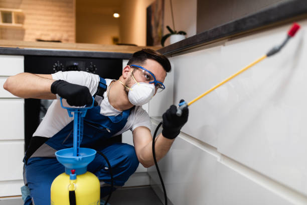 Best Mosquito Control Services  in Iowa Park, TX