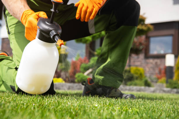 Best Exterminator Services  in Iowa Park, TX
