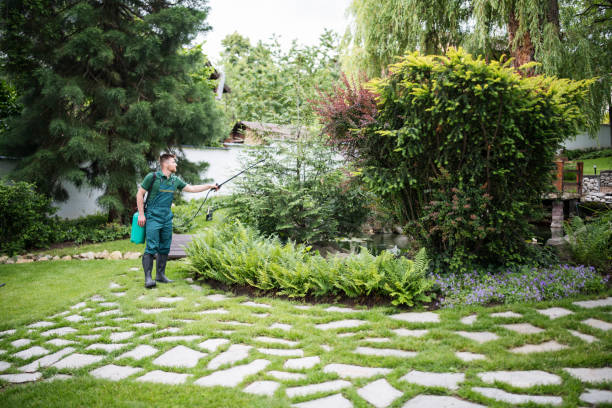 Best Pest Control for Businesses  in Iowa Park, TX