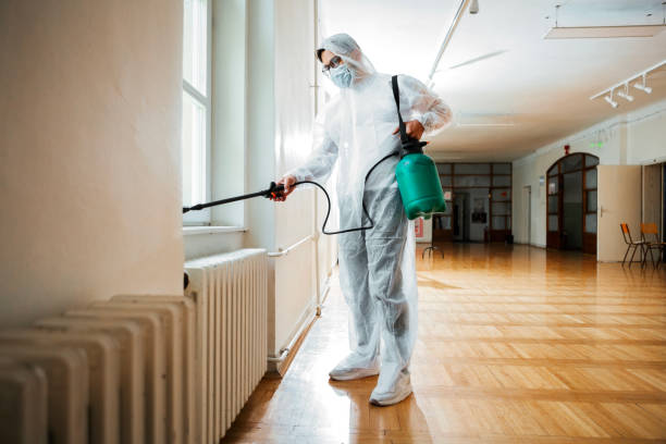 Best Emergency Pest Control  in Iowa Park, TX
