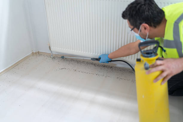 Iowa Park, TX Pest Control Company